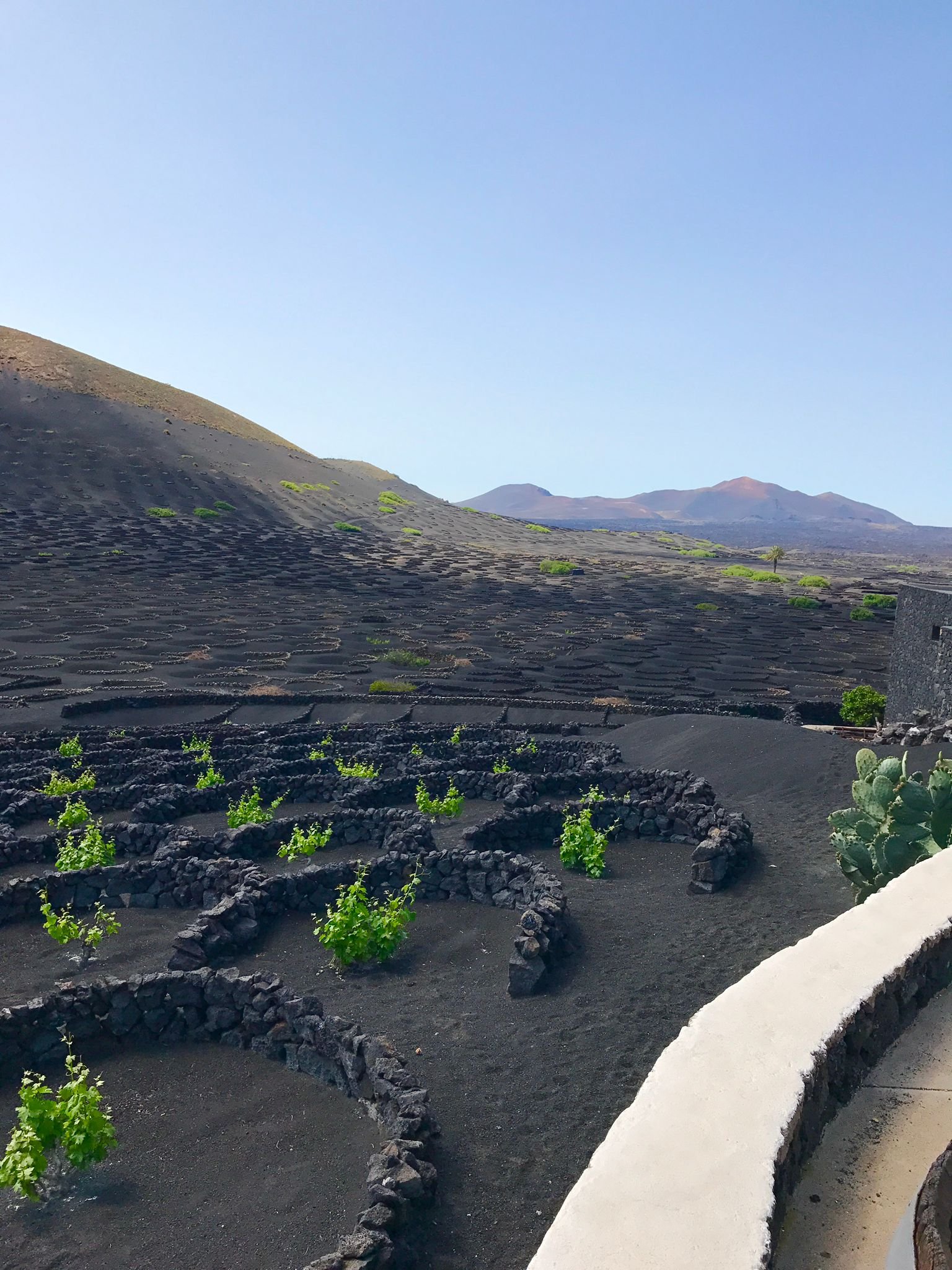 Lanzarote — fotografia 12